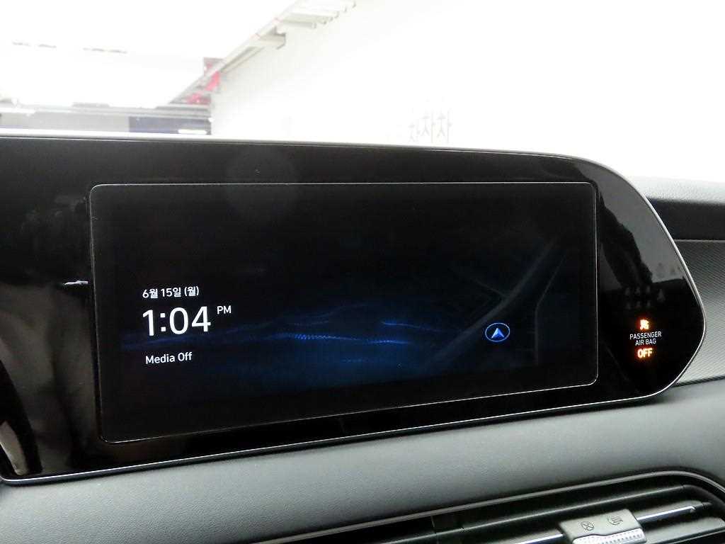 HYUNDAI Palisade - Vista 11