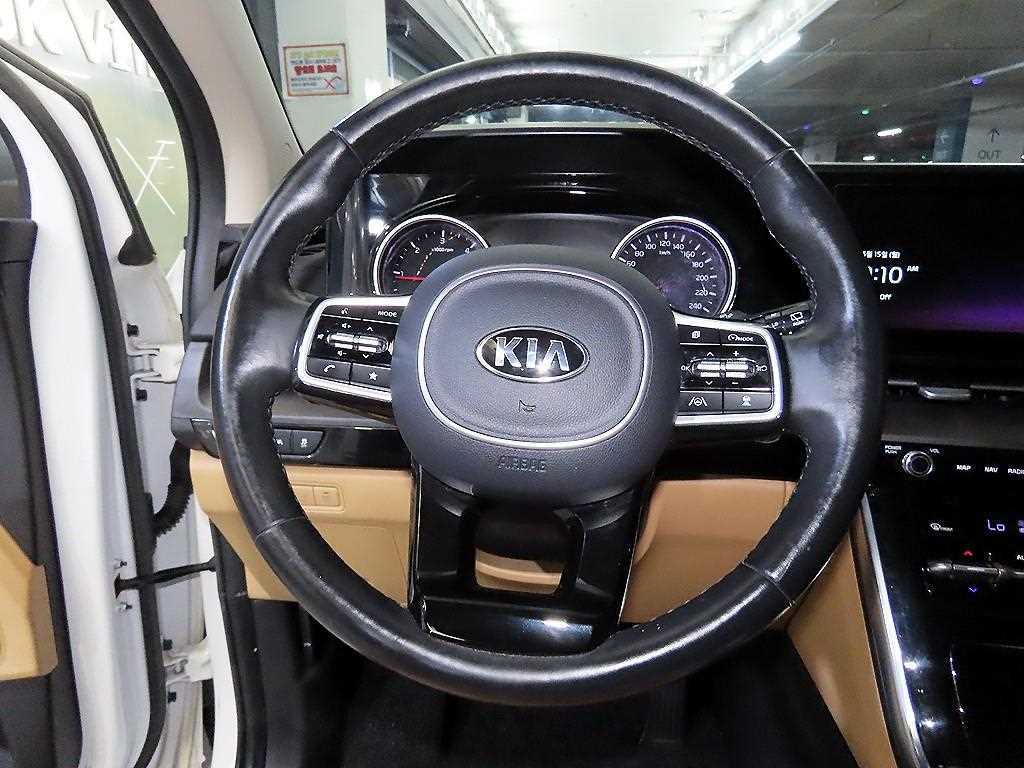 KIA Carnival - Vista 10