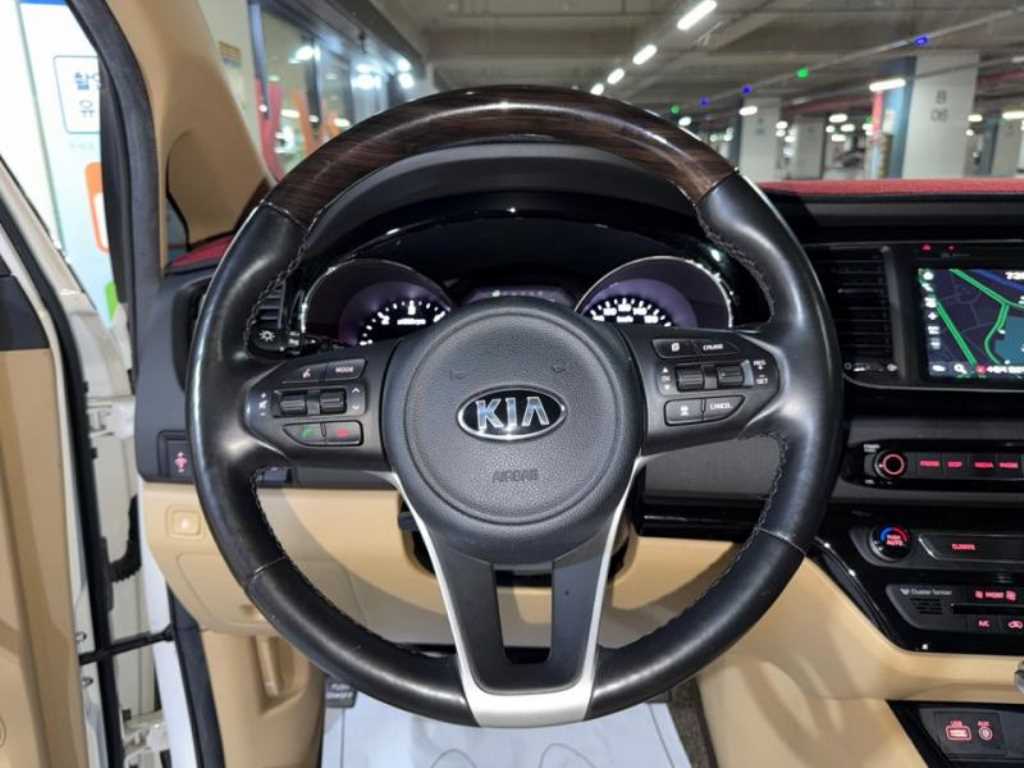 KIA Carnival - Vista 10