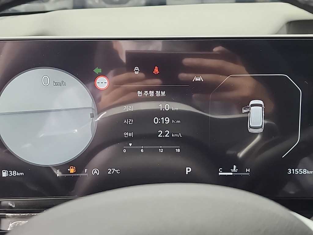 KIA Carnival - Vista 8