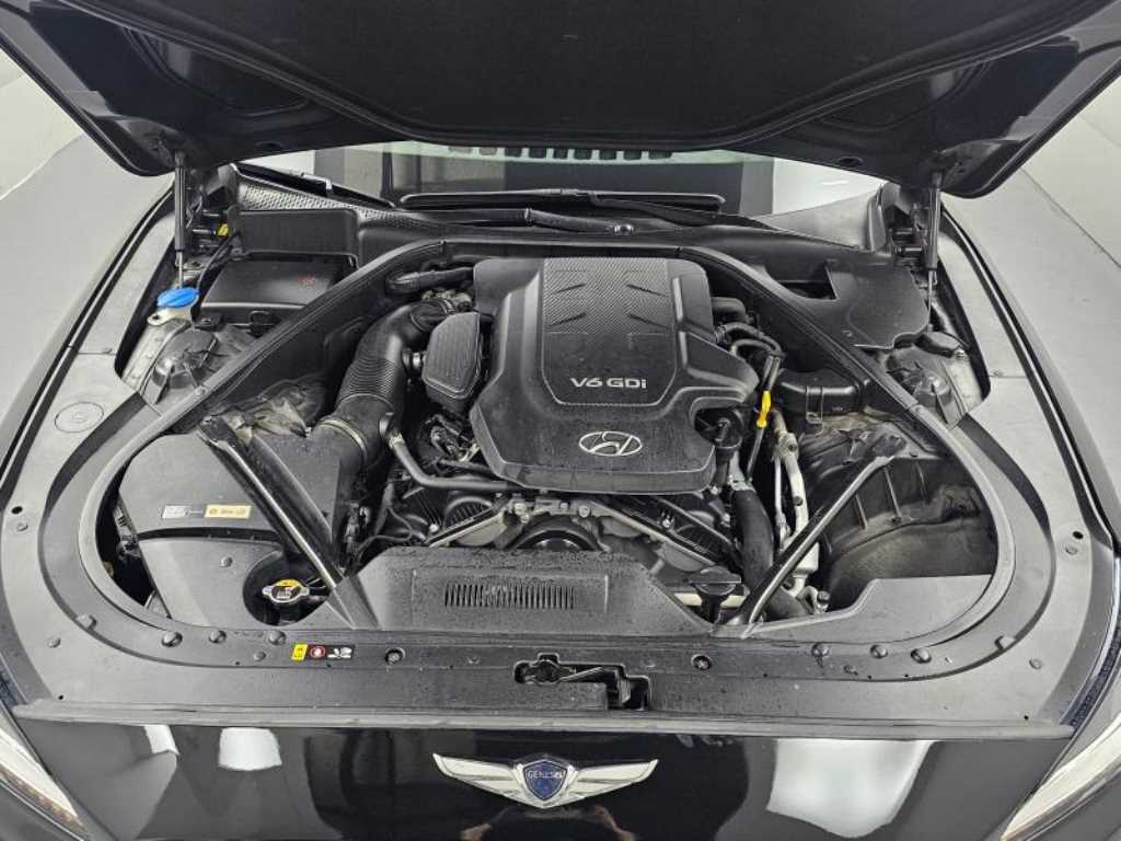HYUNDAI Genesis - Vista 9