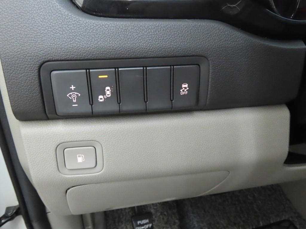 KIA Carnival - Vista 12