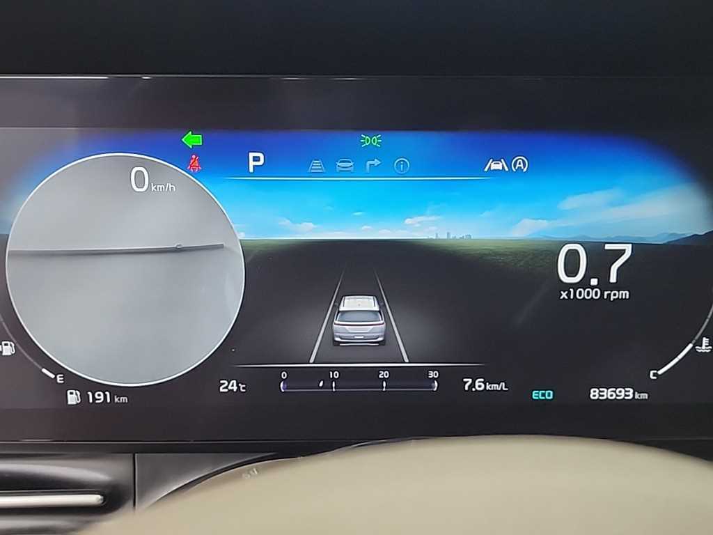 KIA Carnival - Vista 8