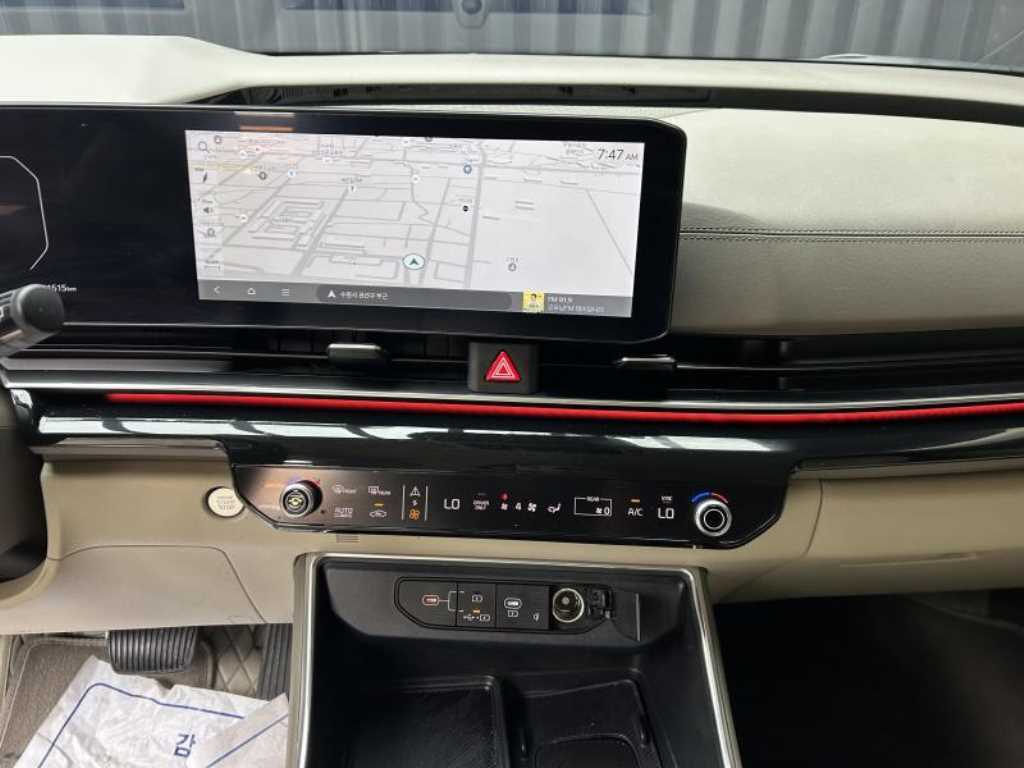 KIA Carnival - Vista 12