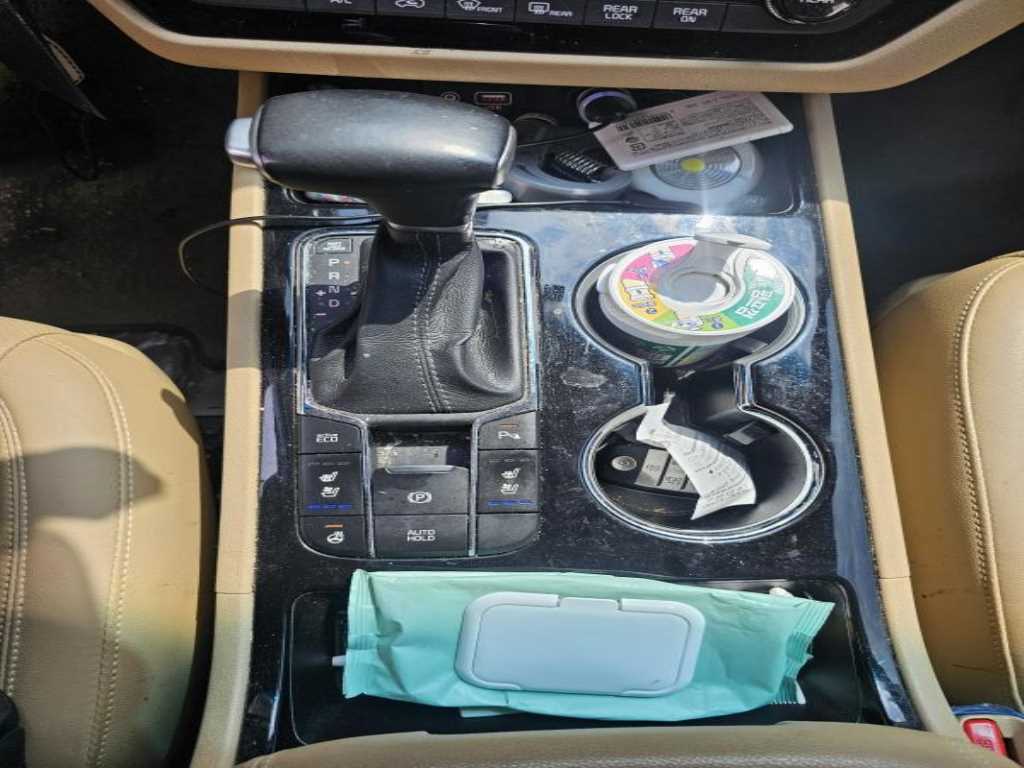 KIA Carnival - Vista 11