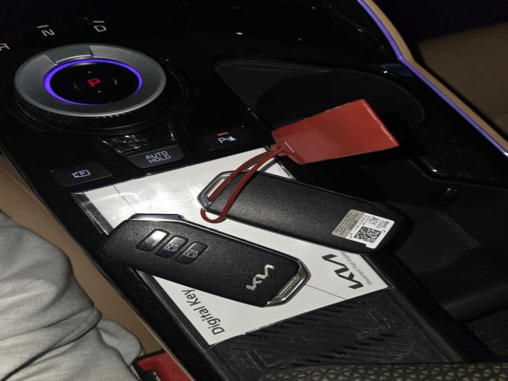 KIA EV6 - Vista 12