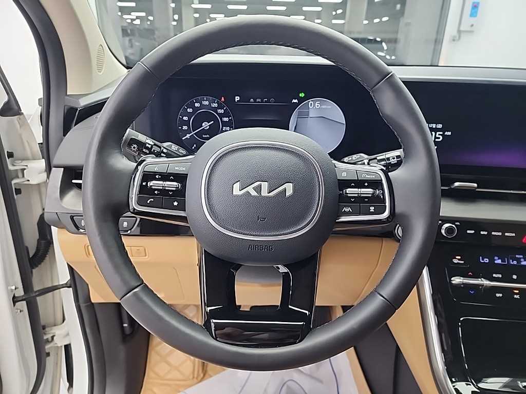 KIA Carnival - Vista 11