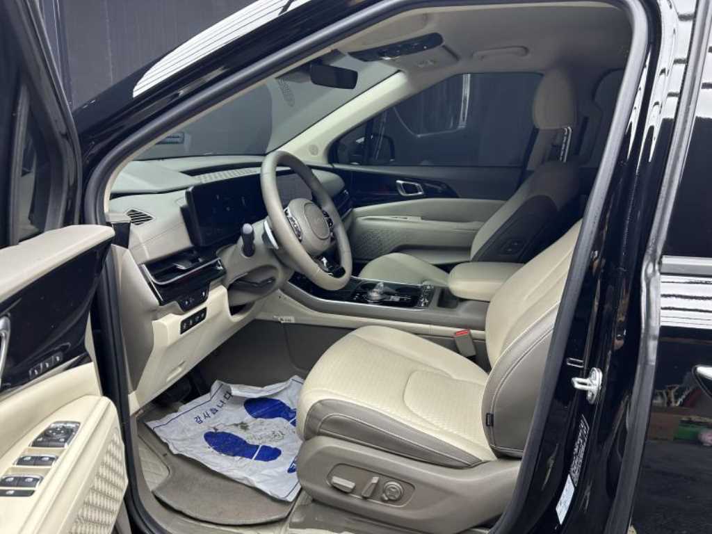 KIA Carnival - Vista 9
