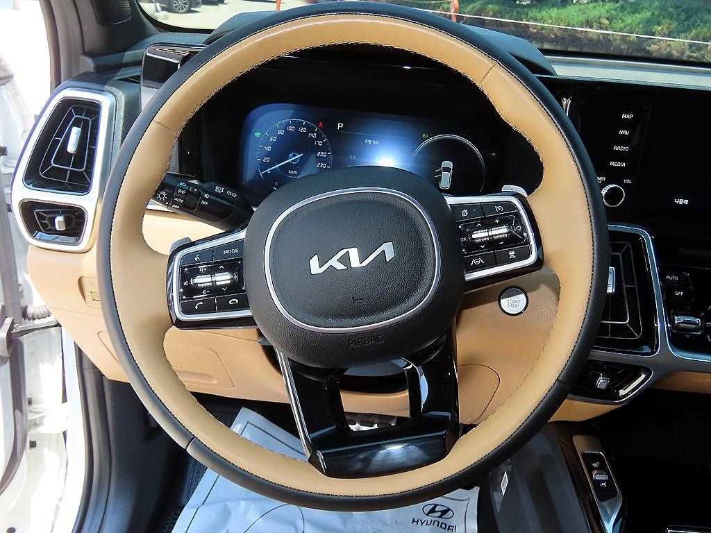 KIA Sorento - Vista 10