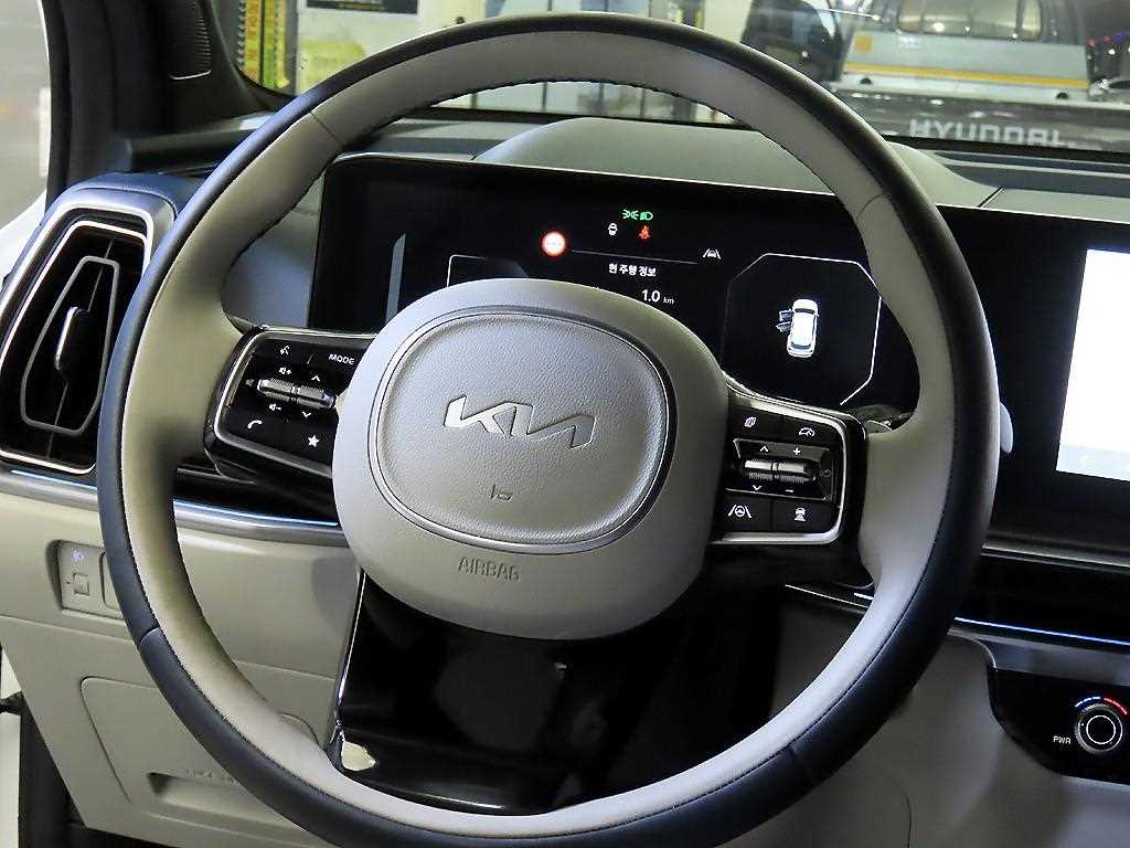 KIA Sorento - Vista 10