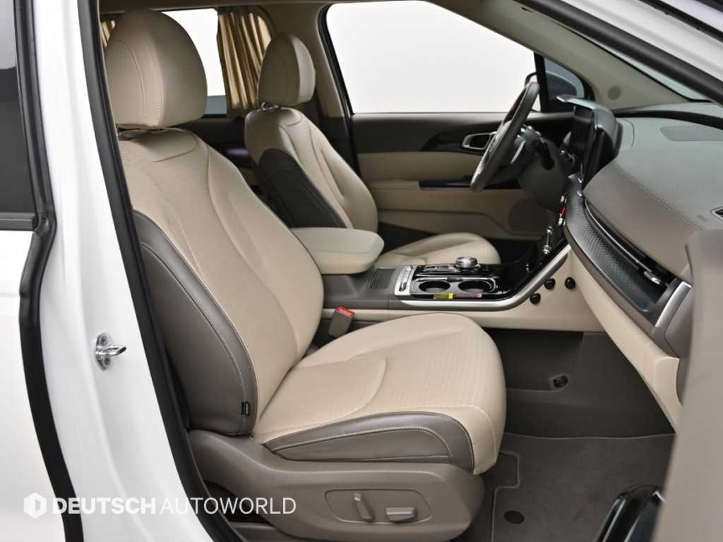KIA Carnival - Vista 12