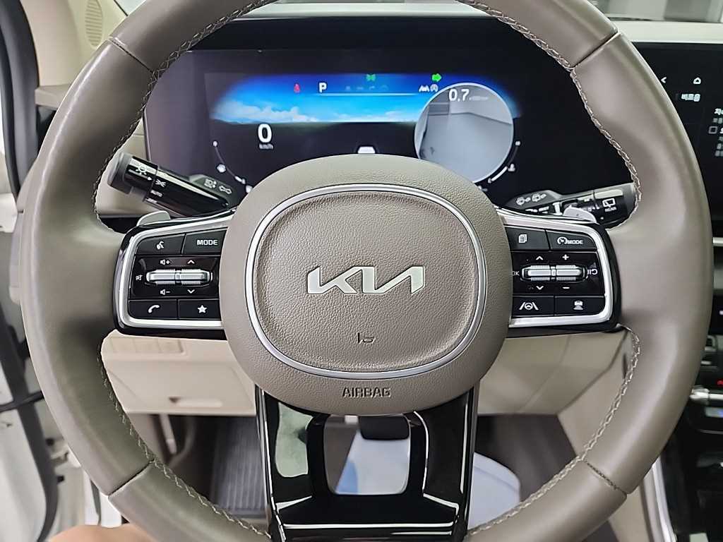 KIA Carnival - Vista 11