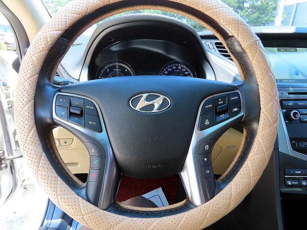 HYUNDAI Grandeur - Vista 10
