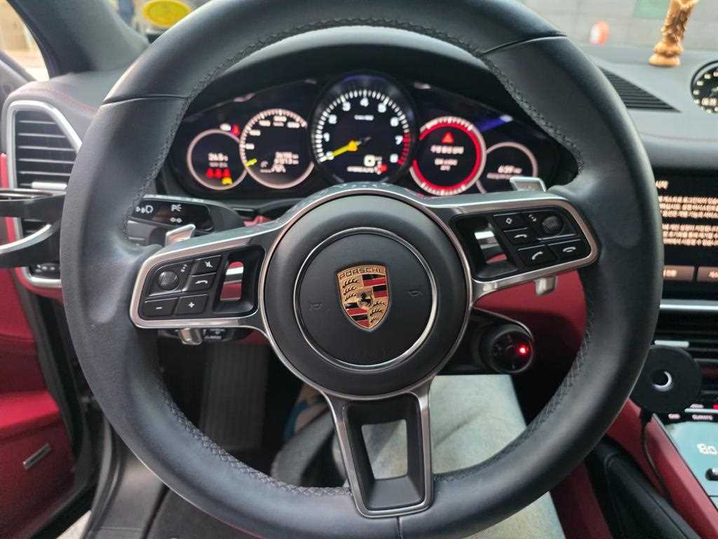 Porsche Cayenne - Vista 8