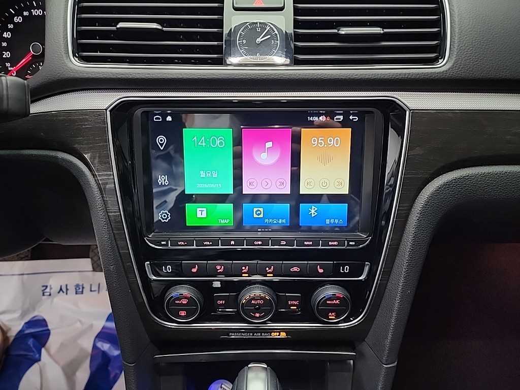 Volkswagen Passat - Vista 12