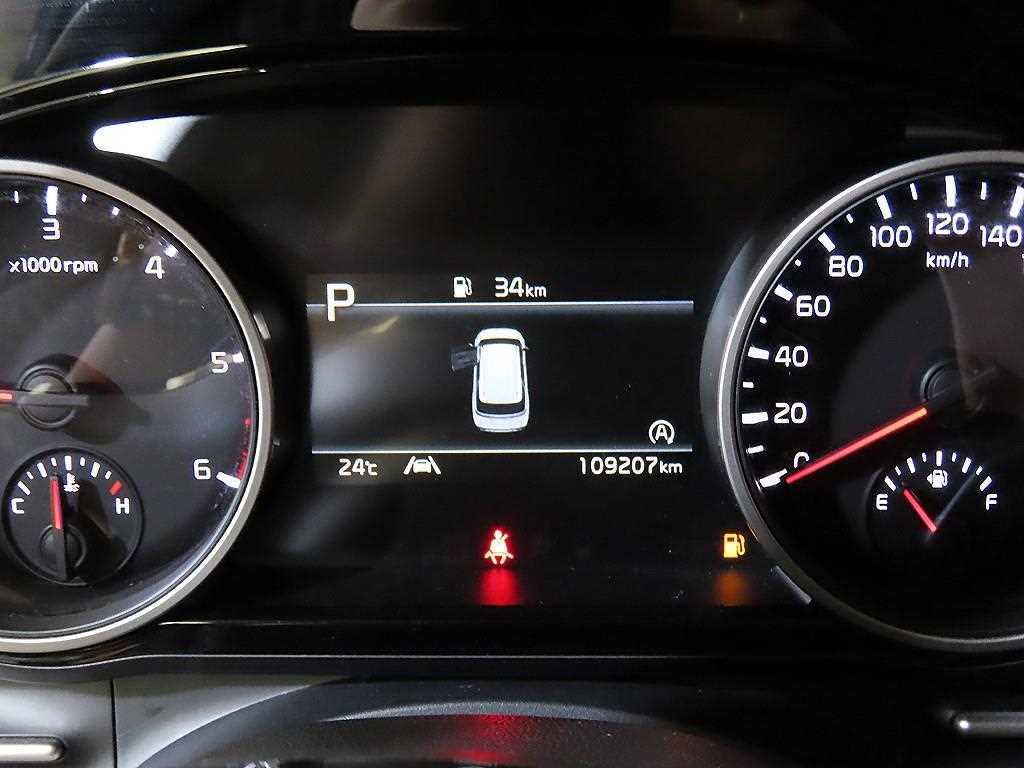 KIA Carnival - Vista 11