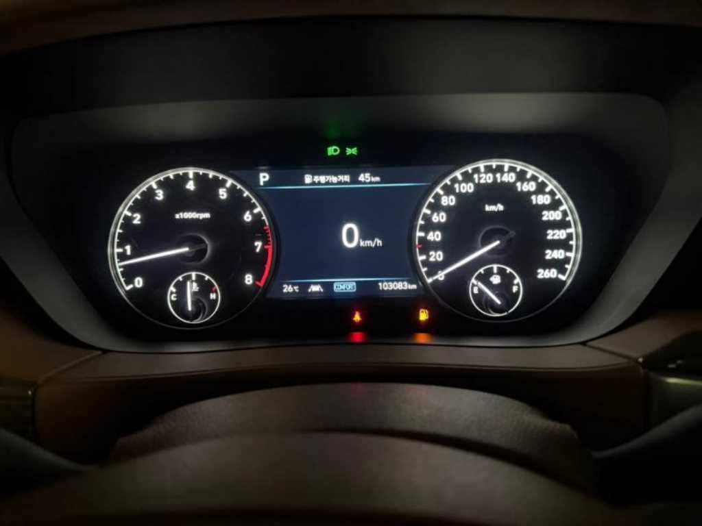Genesis G90 - Vista 12