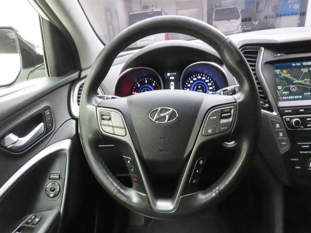 HYUNDAI Maxcruz - Vista 9