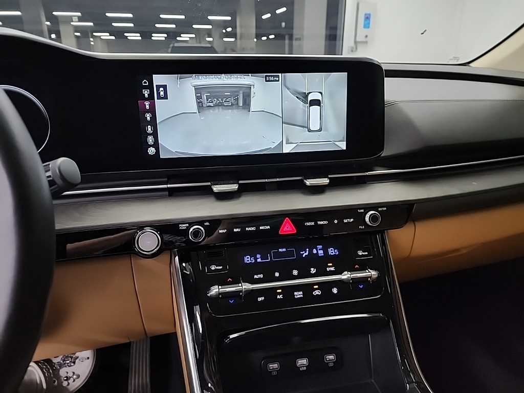 KIA Carnival - Vista 12