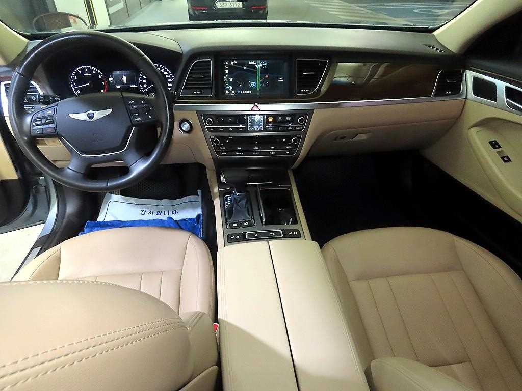 HYUNDAI Genesis - Vista 12