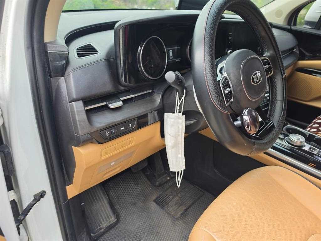 KIA Carnival - Vista 9