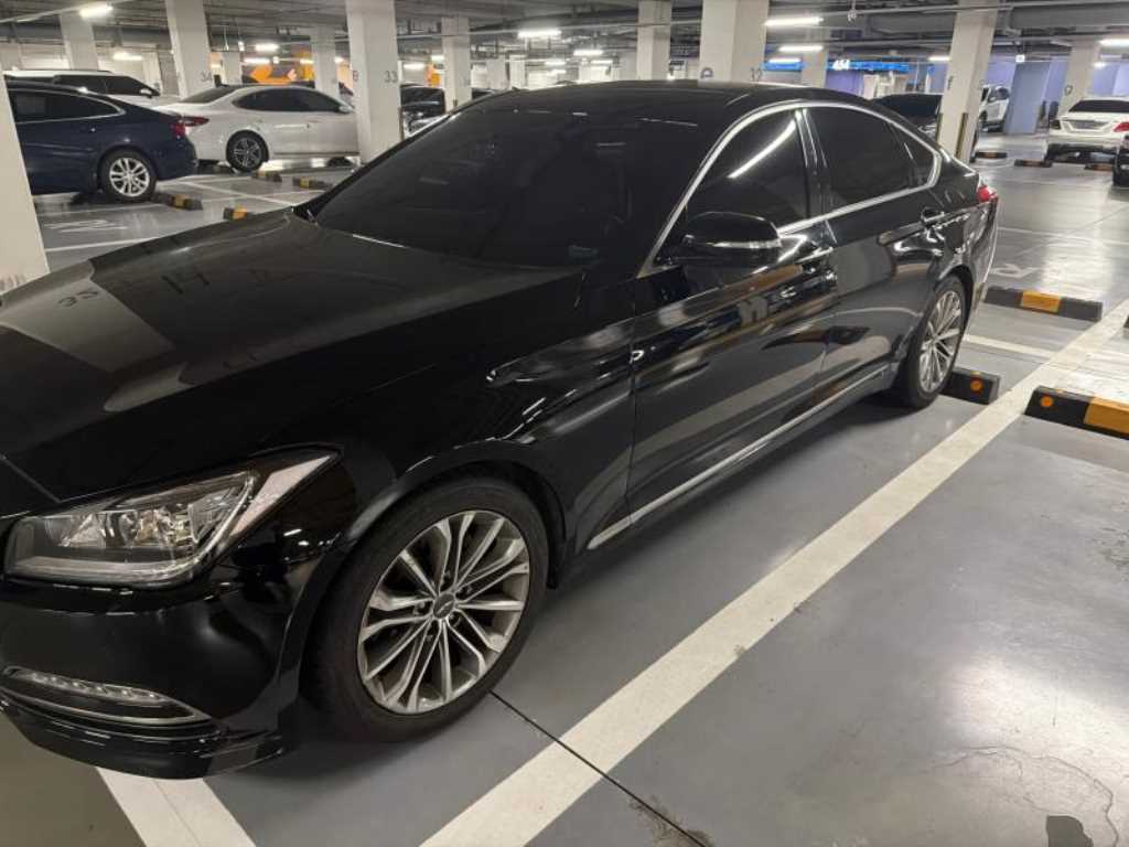 HYUNDAI Genesis - Vista 6