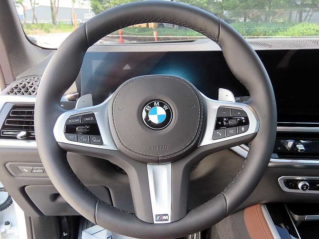 BMW X5 - Vista 10