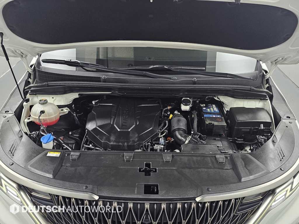 KIA Carnival - Vista 8