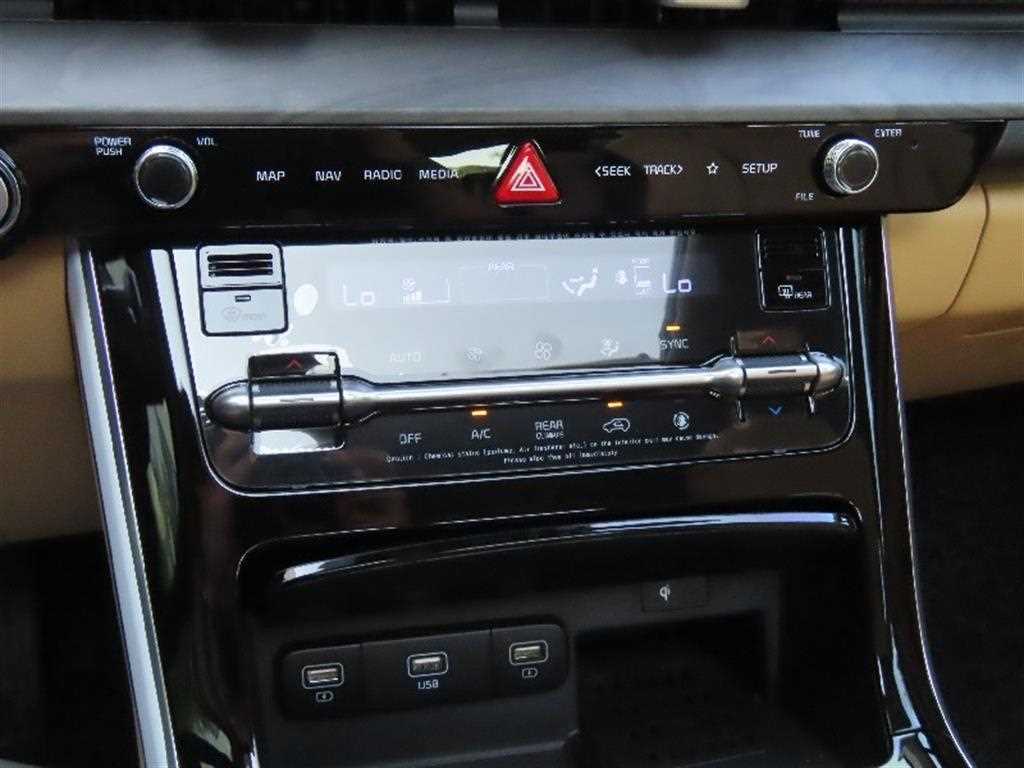 KIA Carnival - Vista 9