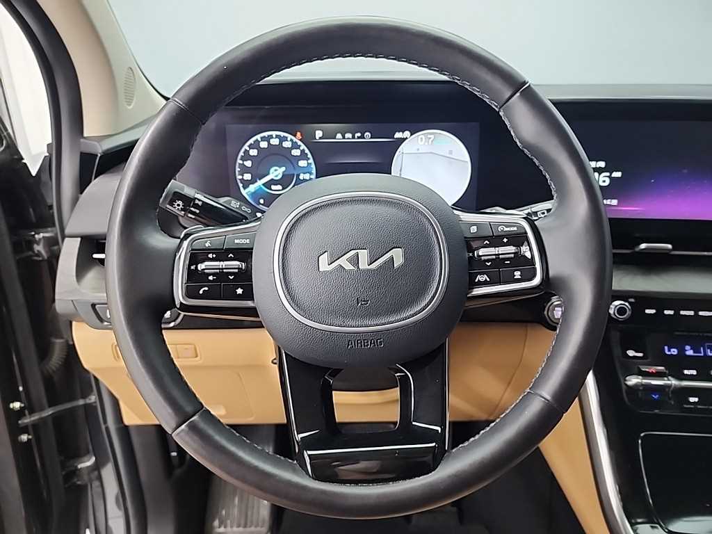 KIA Carnival - Vista 11