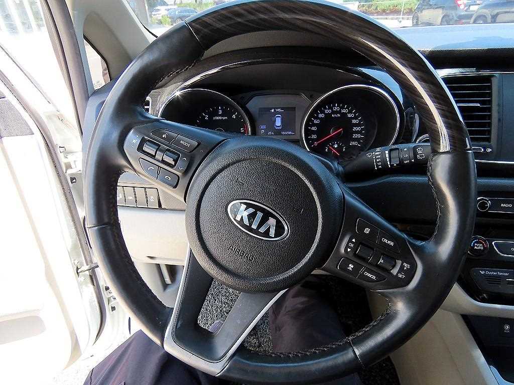 KIA Carnival - Vista 11