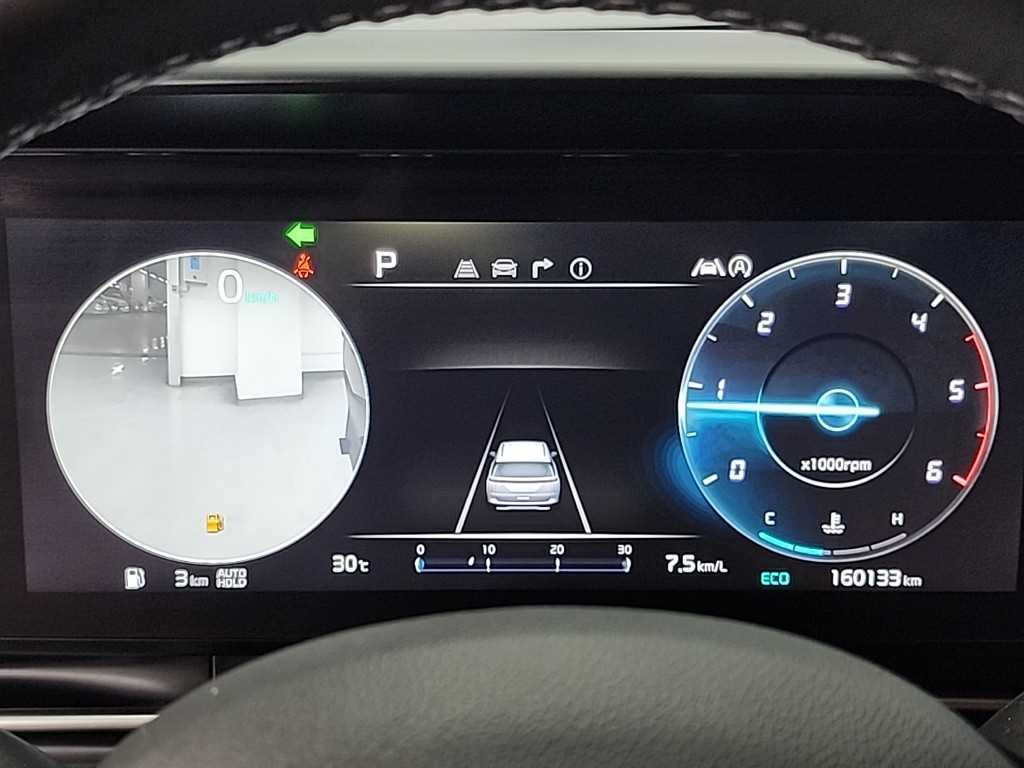 KIA Carnival - Vista 8