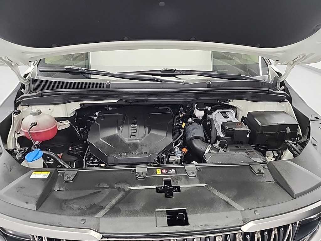 KIA Carnival - Vista 7