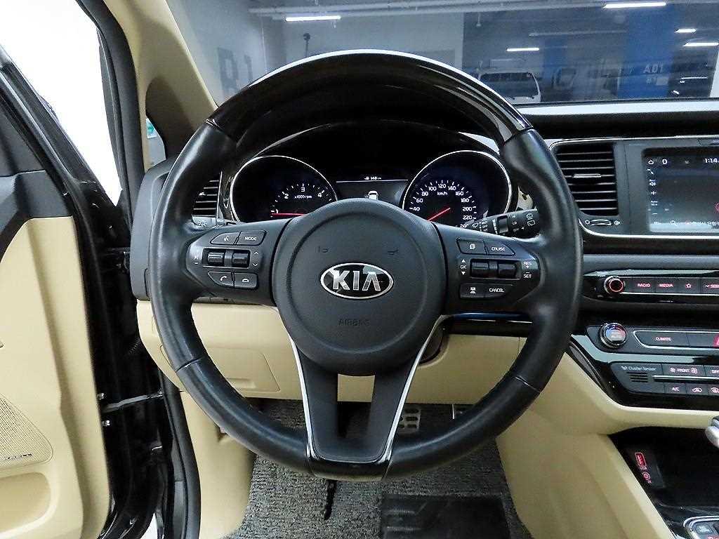 KIA Carnival - Vista 9
