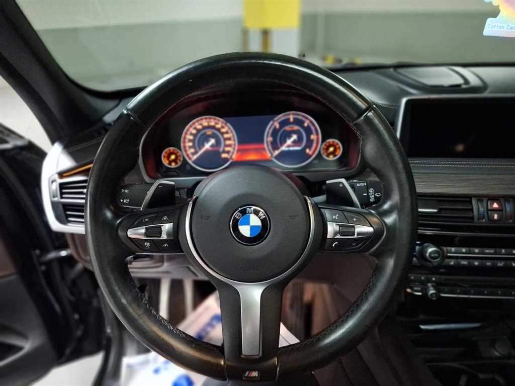 BMW X5 - Vista 10