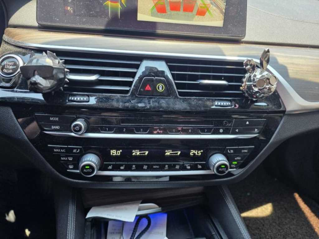 BMW 5 Series - Vista 12