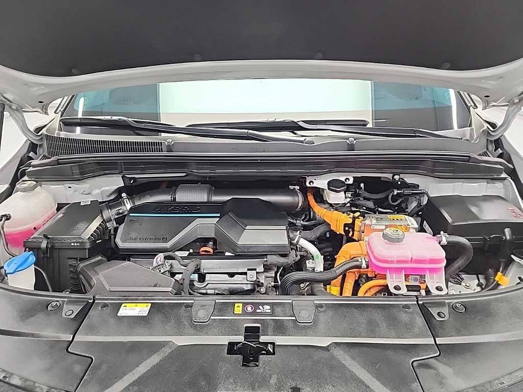 KIA Carnival - Vista 7