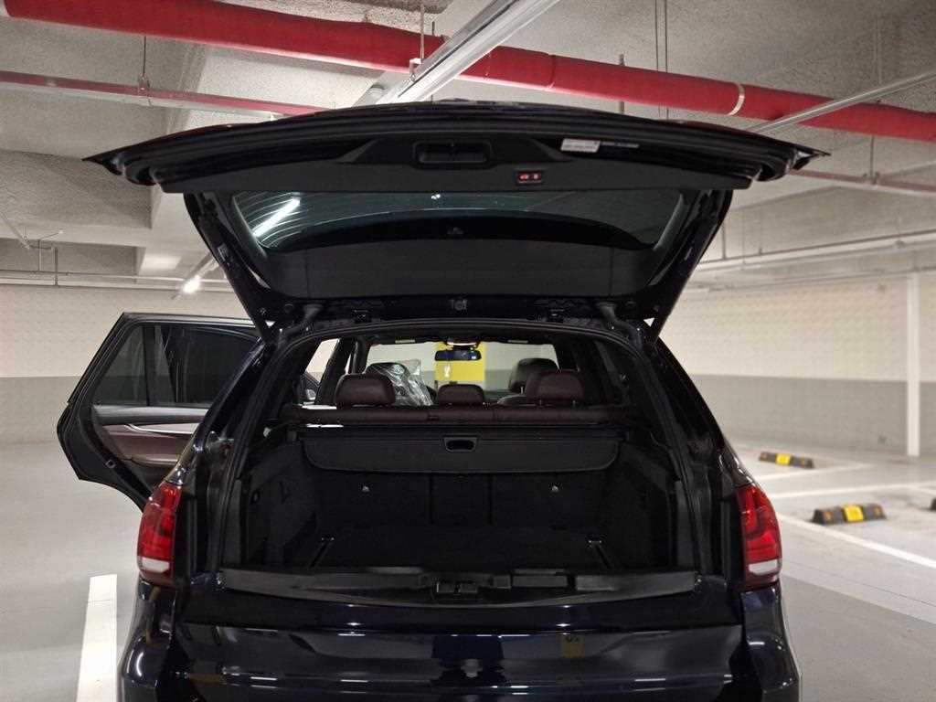 BMW X5 - Vista 12