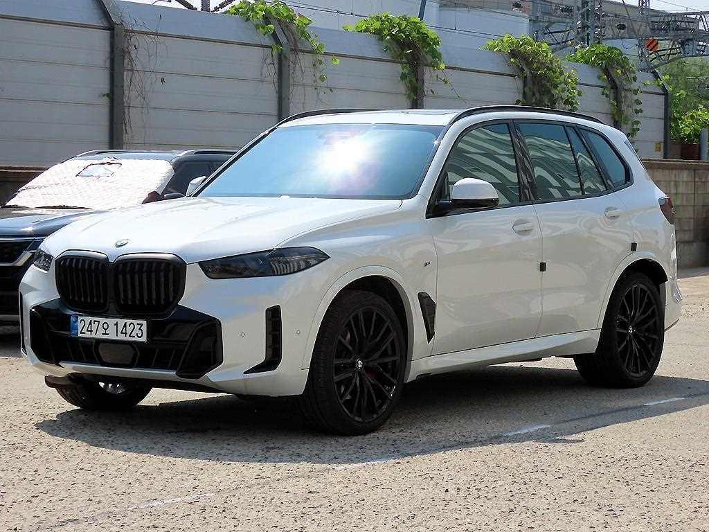 BMW X5 - Vista 2
