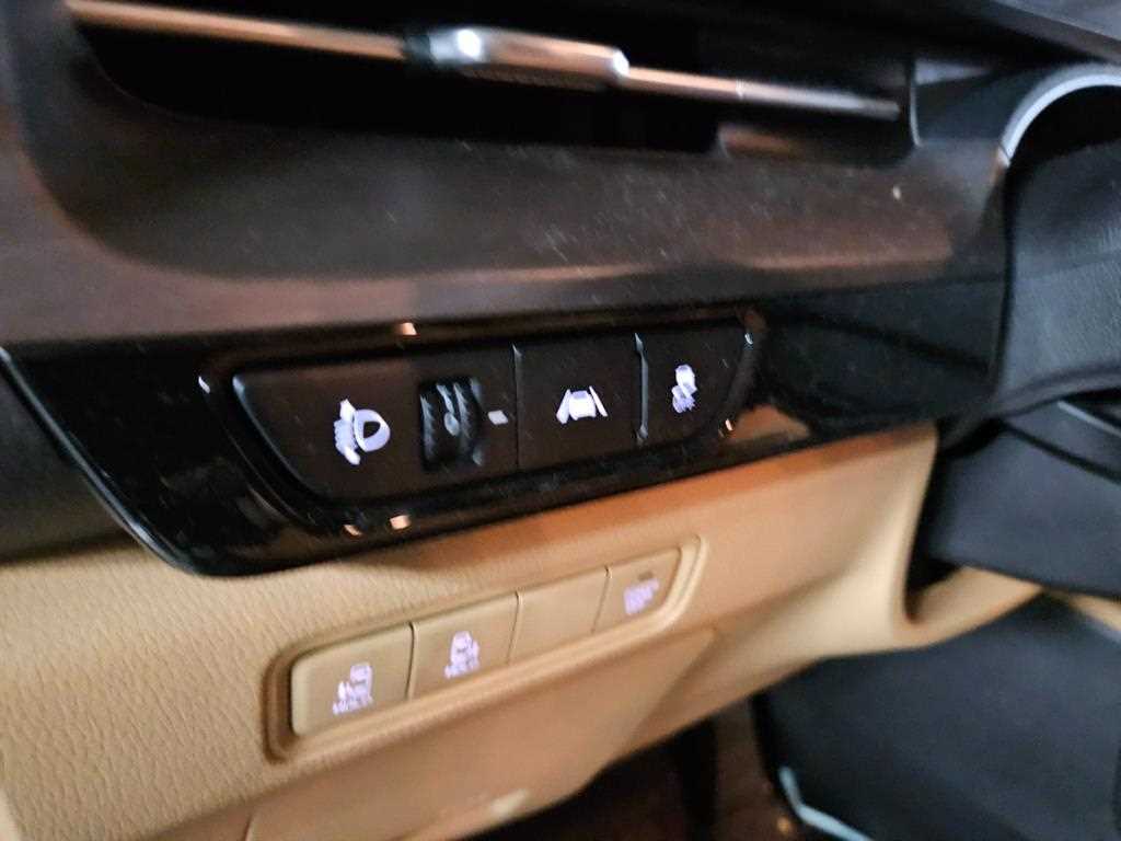 KIA Carnival - Vista 12