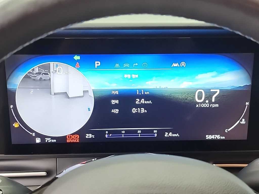 KIA Carnival - Vista 8