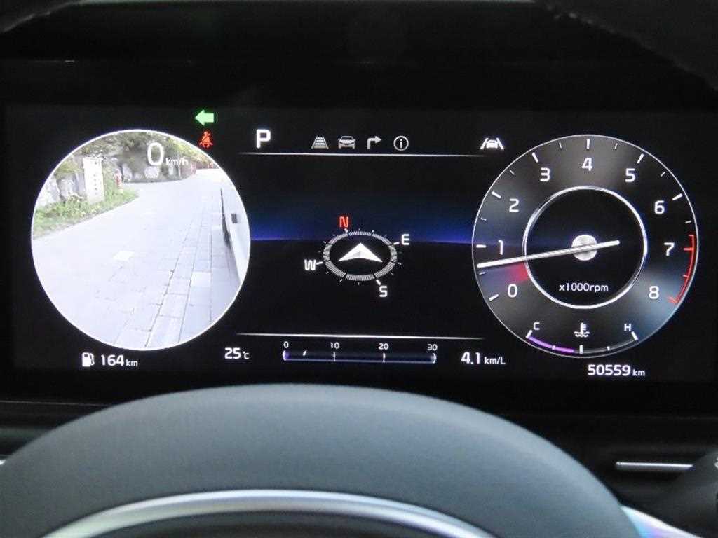 KIA Carnival - Vista 7