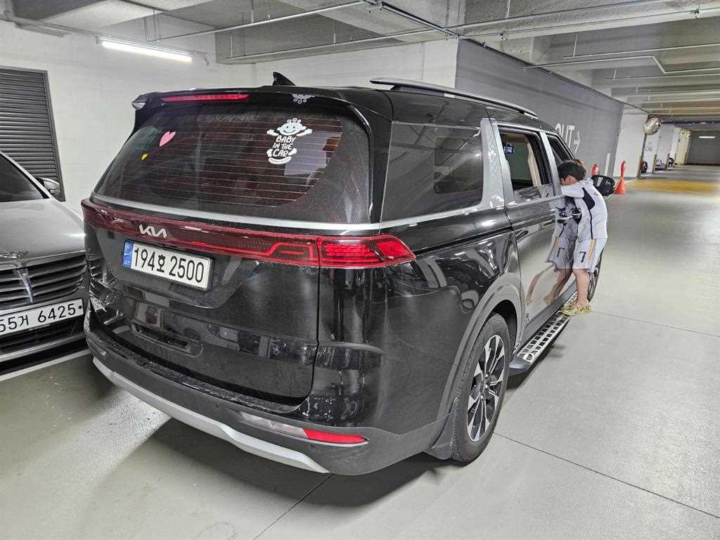 KIA Carnival - Vista 8