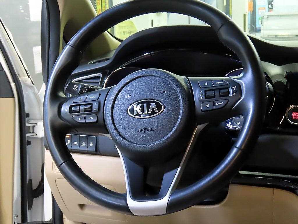 KIA Carnival - Vista 10