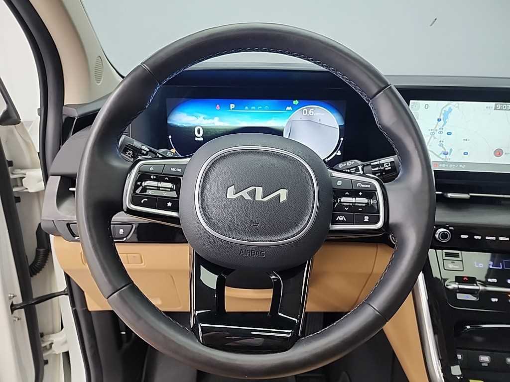 KIA Carnival - Vista 12