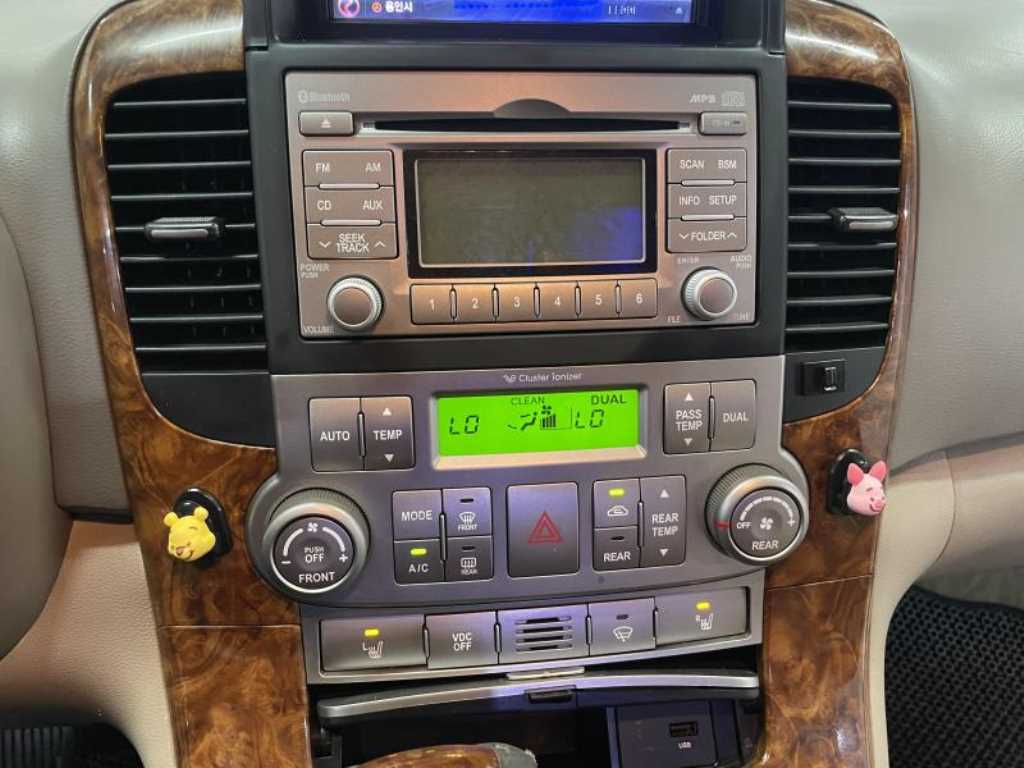 KIA Carnival - Vista 12