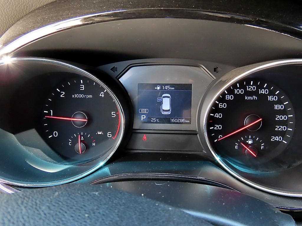 KIA Carnival - Vista 12