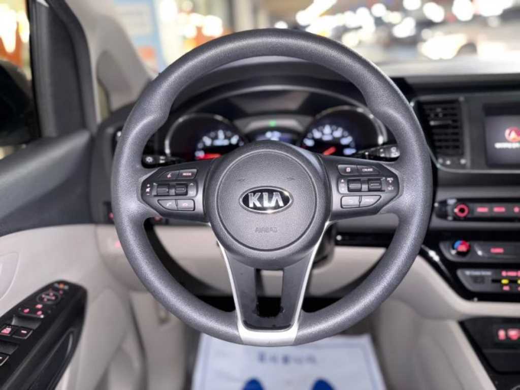 KIA Carnival - Vista 10