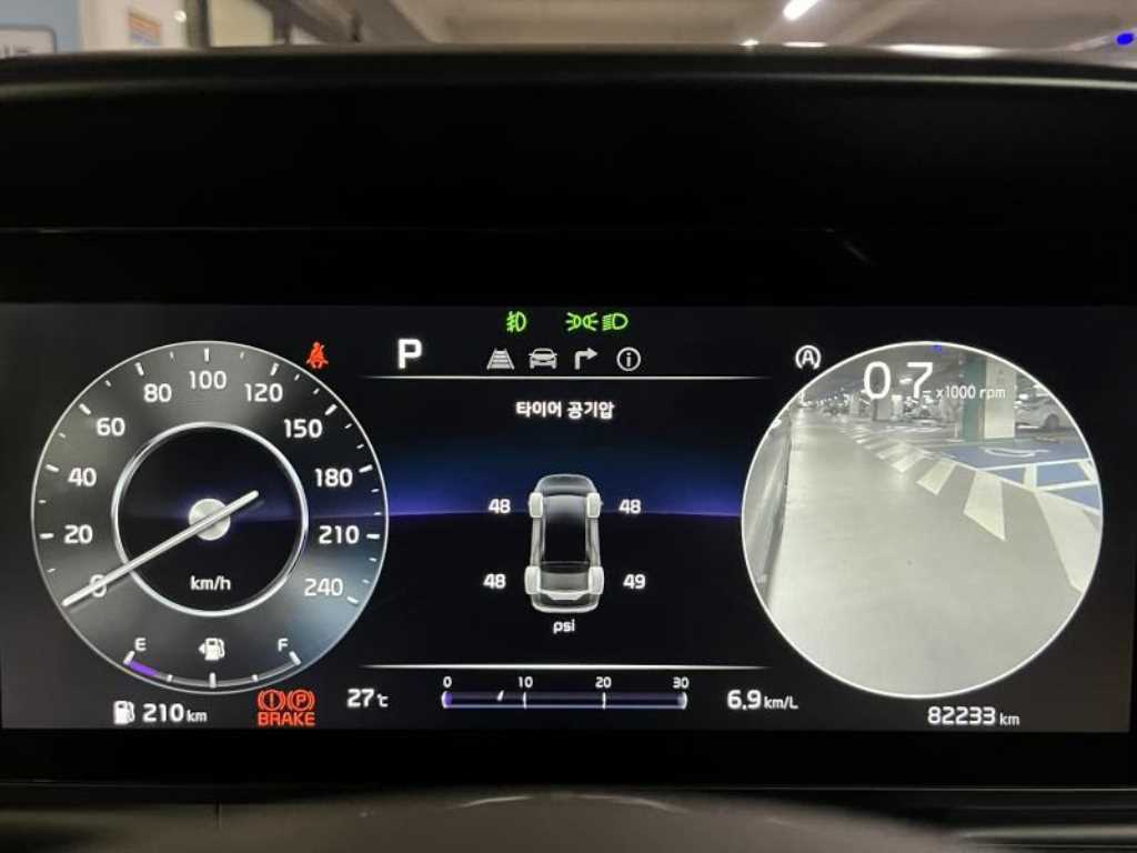 KIA Carnival - Vista 12