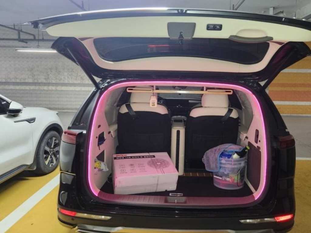 KIA Carnival - Vista 5